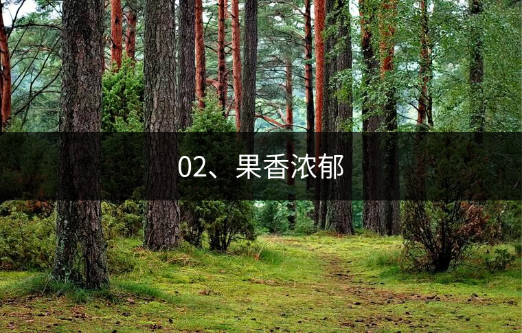 02、果香濃郁