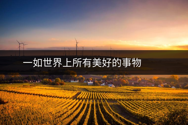 ? ? ? 一如世界上所有美好的事物，百花潭美麗但卻稀少。稀疏而分散生長(zhǎng)的古樹林，采摘難度極大。近幾年，百花潭大小樹春茶季鮮葉產(chǎn)量約4-5噸，毛茶量1噸以上，而頭春的古樹茶僅有800公斤左右。