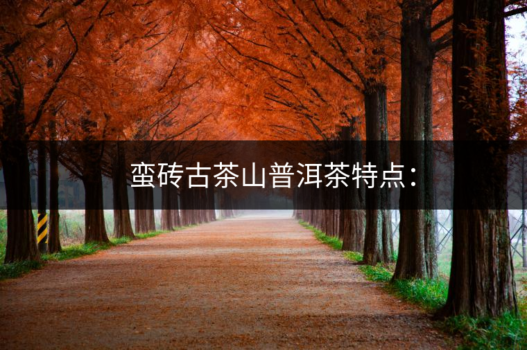 ?? 蠻磚古茶山普洱茶特點(diǎn)：