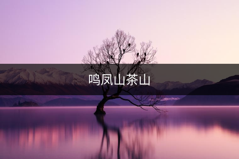 鳴鳳山茶山 鳴鳳山茶山