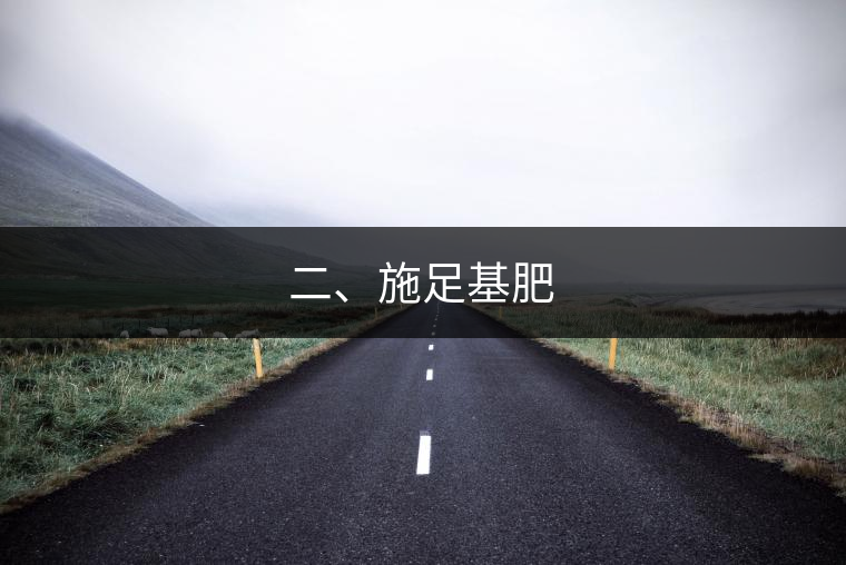 二、施足基肥