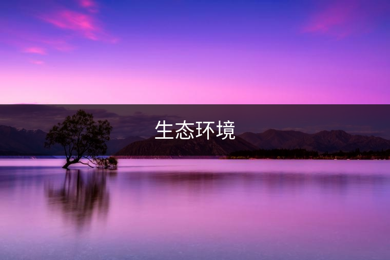 生態(tài)環(huán)境