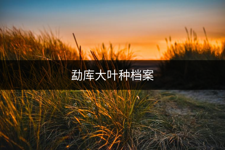 勐庫大葉種檔案 勐庫大葉種檔案