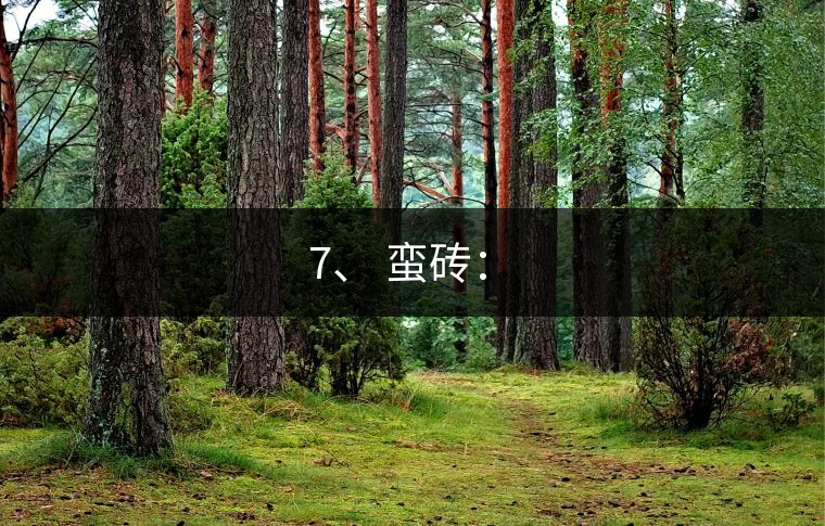 7、 蠻磚：?