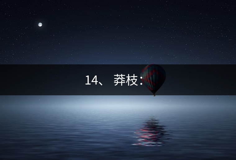 14、 莽枝：?