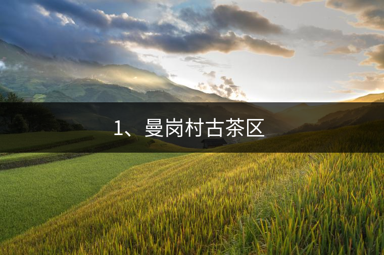 1、曼崗村古茶區(qū) ?