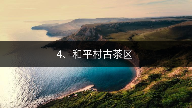 4、和平村古茶區(qū) ?