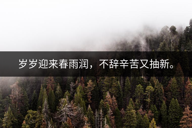 歲歲迎來春雨潤(rùn)，不辭辛苦又抽新。