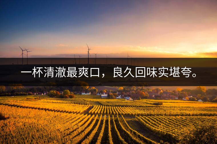 若能一日車船至，從此美名滿天涯。