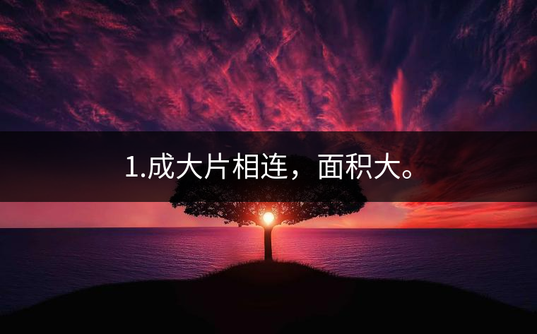 1.成大片相連，面積大。