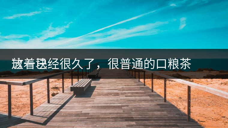 這一塊
放著已經(jīng)很久了，很普通的口糧茶，煙味很重，但回甘也可以，隨意喝喝吧。