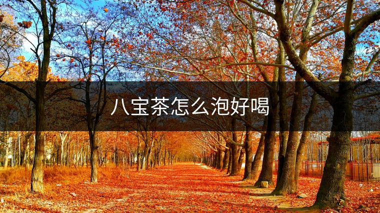 八寶茶怎么泡好喝