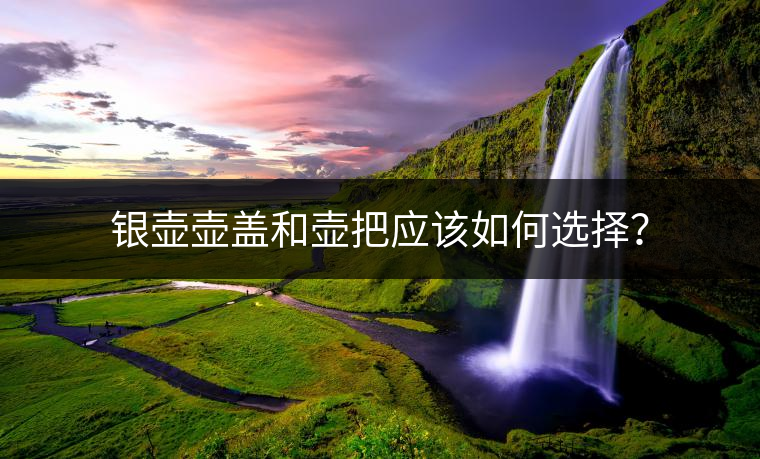 銀壺壺蓋和壺把應該如何選擇？