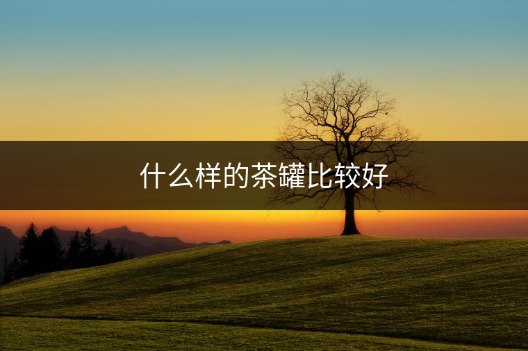 什么樣的茶罐比較好 什么樣的茶罐比較好