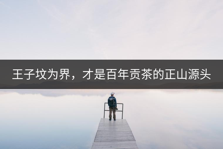 王子墳為界，才是百年貢茶的正山源頭