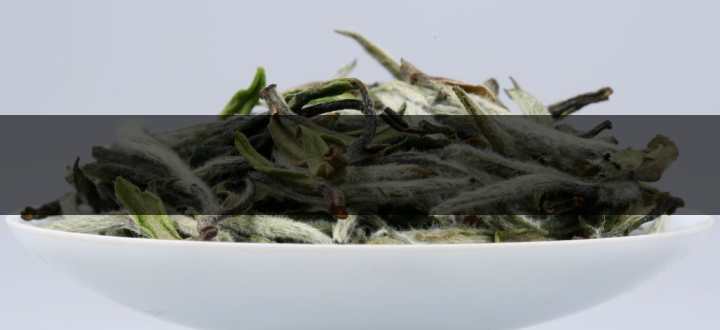 15254bde8d9b4aeeae4d5d8065d06382