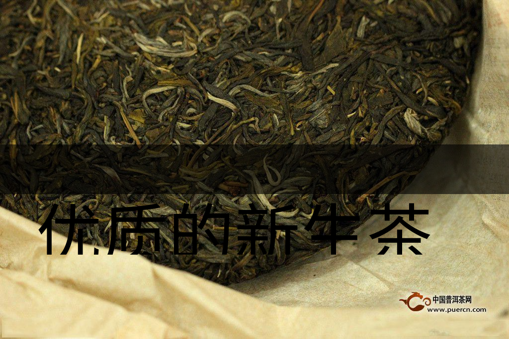 優(yōu)質(zhì)的新生茶是什么樣的？