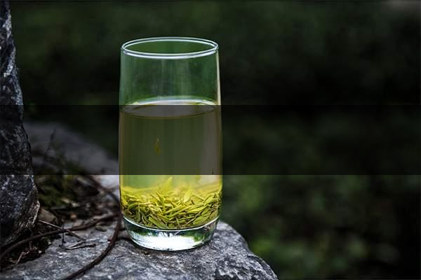 pick春茶攻略！