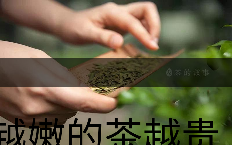 越嫩的茶越貴，但越貴的茶就越好嗎？