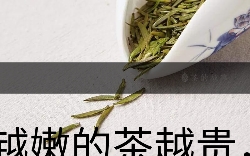 越嫩的茶越貴，但越貴的茶就越好嗎？-1