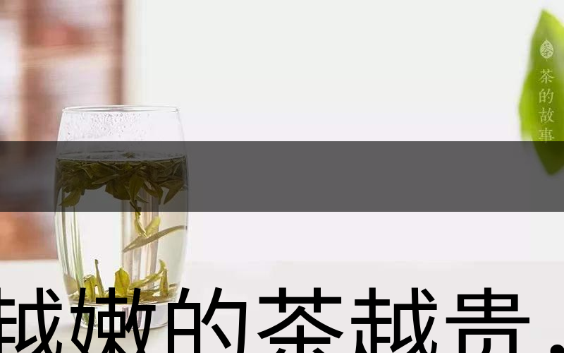 越嫩的茶越貴，但越貴的茶就越好嗎？-2