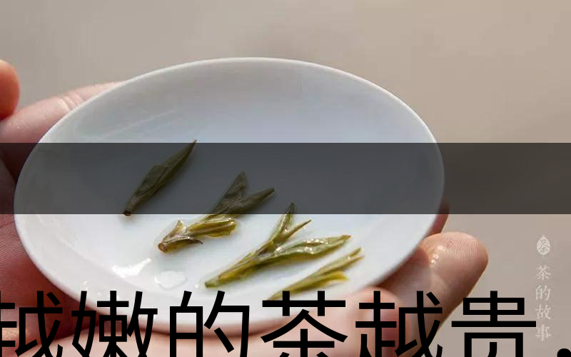 越嫩的茶越貴，但越貴的茶就越好嗎？-3
