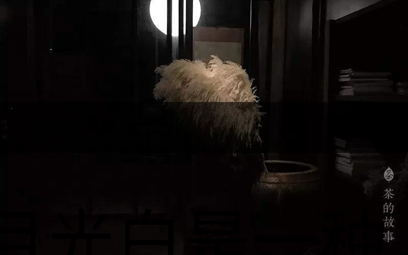 月光白是一種什么茶？