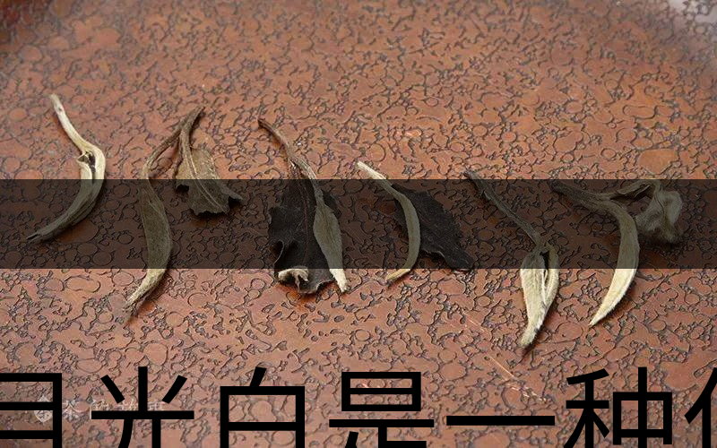 月光白是一種什么茶？-1