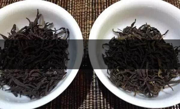 4招讓你變資深辨茶高手！