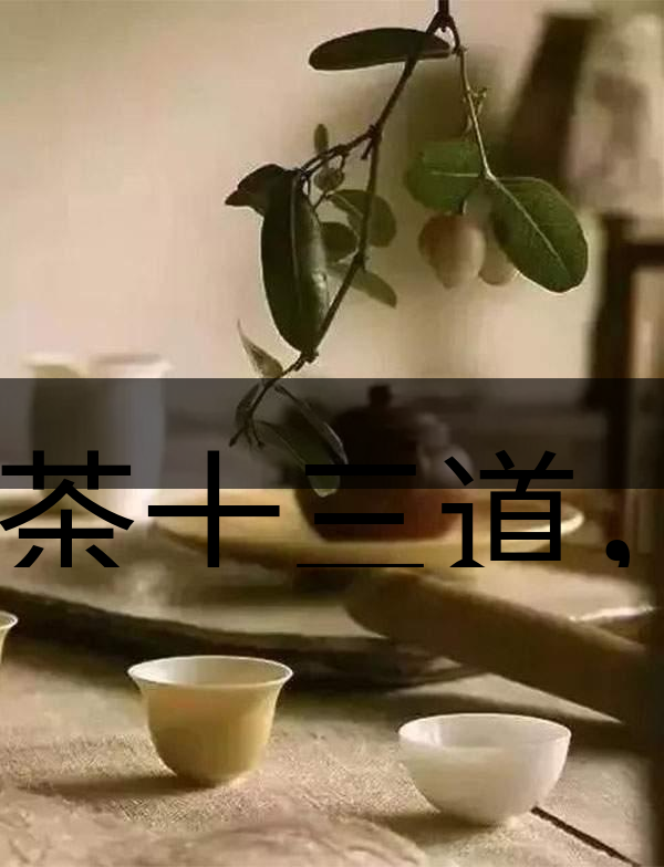 喝茶十三道，道道皆精華！-2