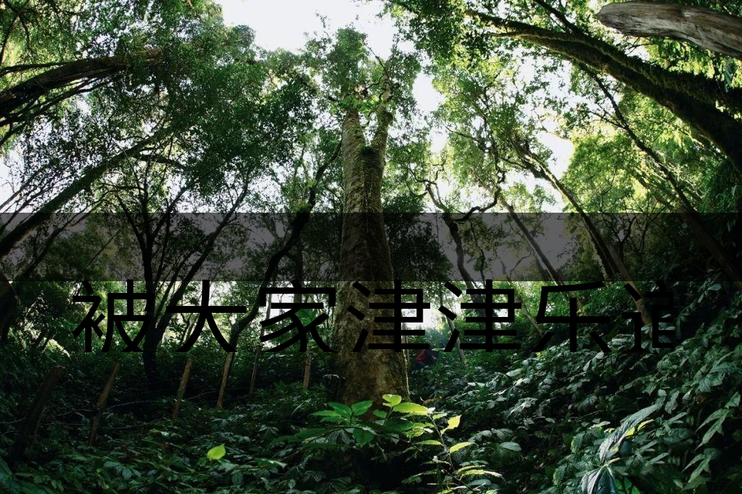 被大家津津樂道的森林茶，你知道是什么？-6-1