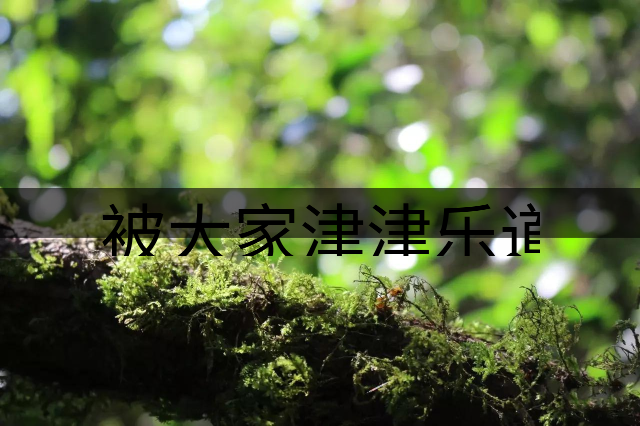 被大家津津樂道的森林茶，你知道是什么？-8-1