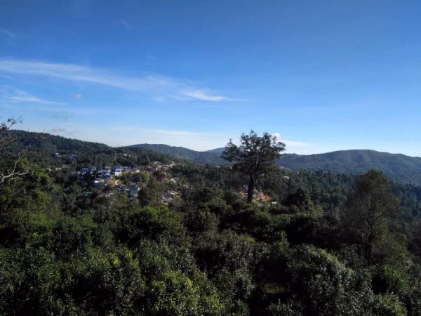 蘭香賀開，甘甜賀開