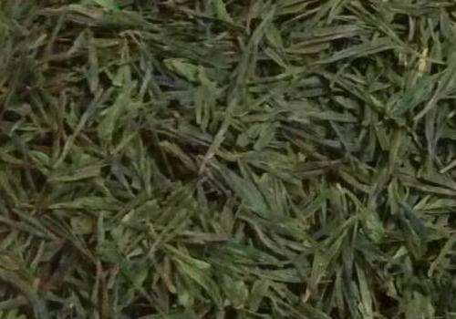 什么是海青茶？沖泡手法詳細(xì)教學(xué)！