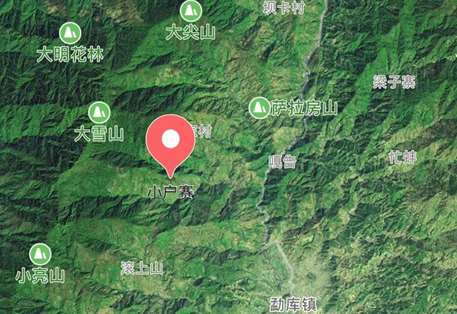 2021年小戶賽古樹秋茶有什么特點？