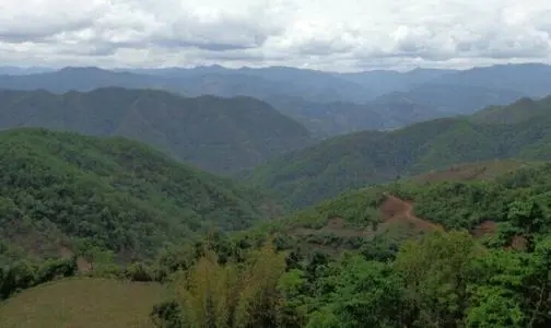 2021那罕古樹秋茶特點(diǎn)？