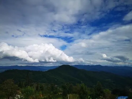 2021年那罕古樹秋茶口感？