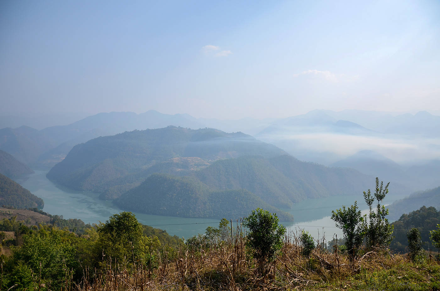 2021年白鶯山古樹秋茶，佛茶有什么魅力？