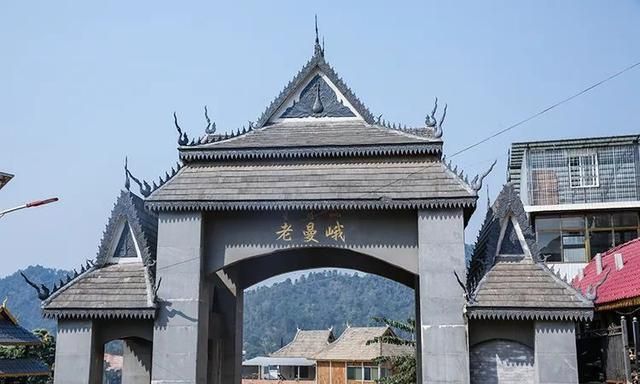 2021年老曼峨古樹秋茶特點？