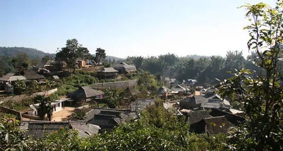 2021年班章茶區(qū)壩卡竜古樹秋茶多少錢一公斤？