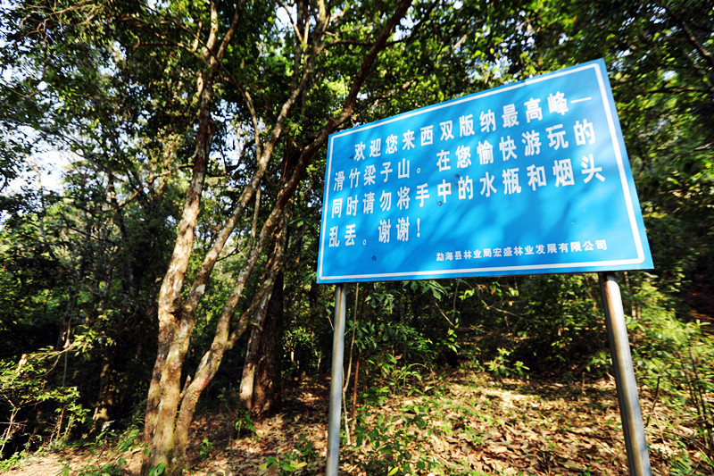 2021年滑竹梁子古樹秋茶價(jià)格？