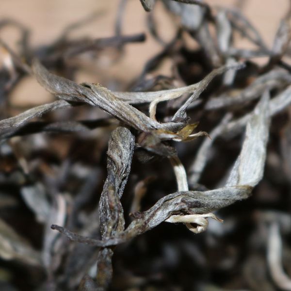 2021年帕沙古樹秋茶，你了解多少？