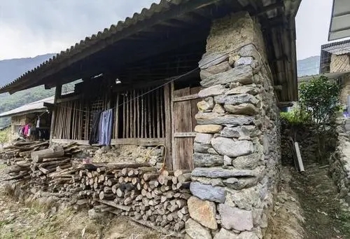 2022年景谷黃草壩古樹春茶特點是什么？