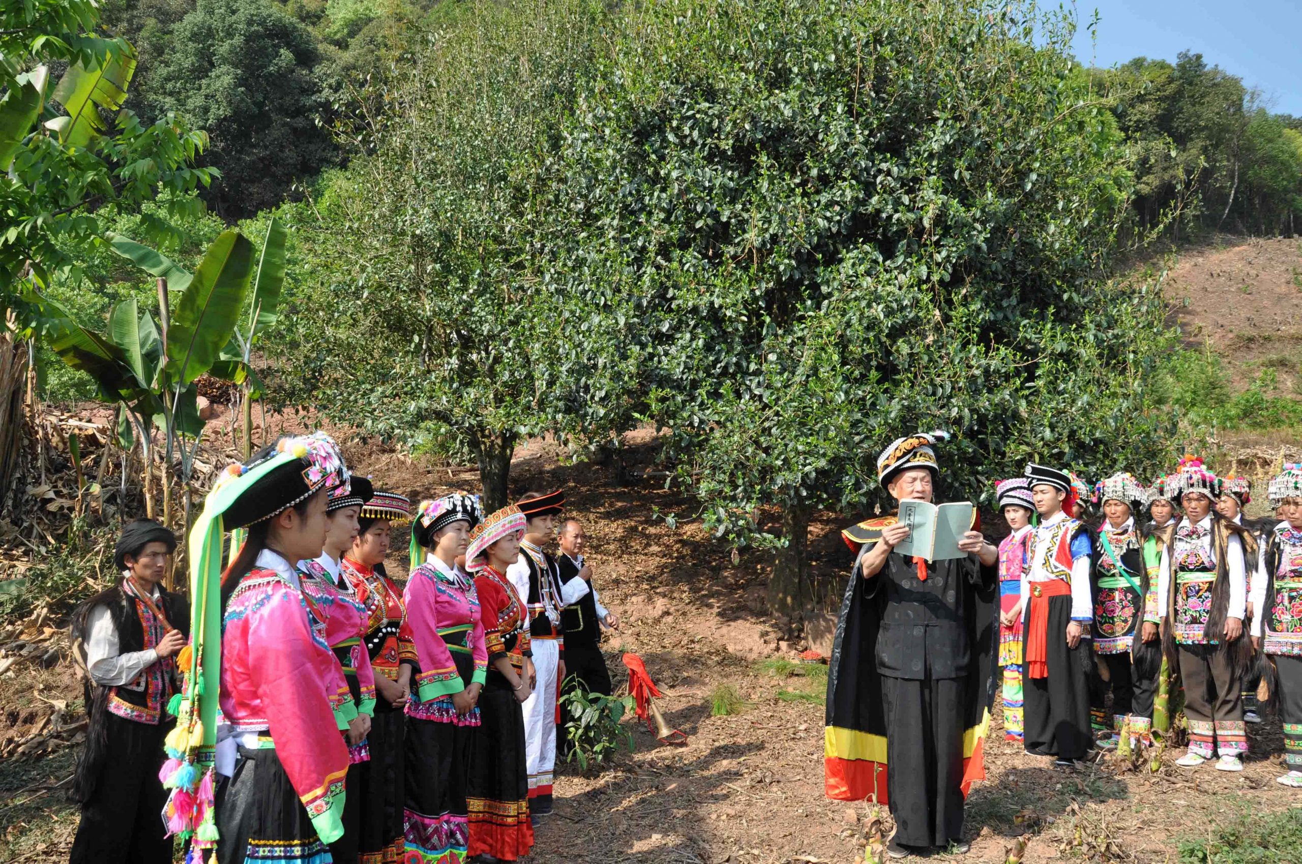 2022年景東御筆古樹春茶多少錢一公斤？