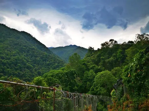 2022年景東御筆古樹(shù)春茶價(jià)格多少？