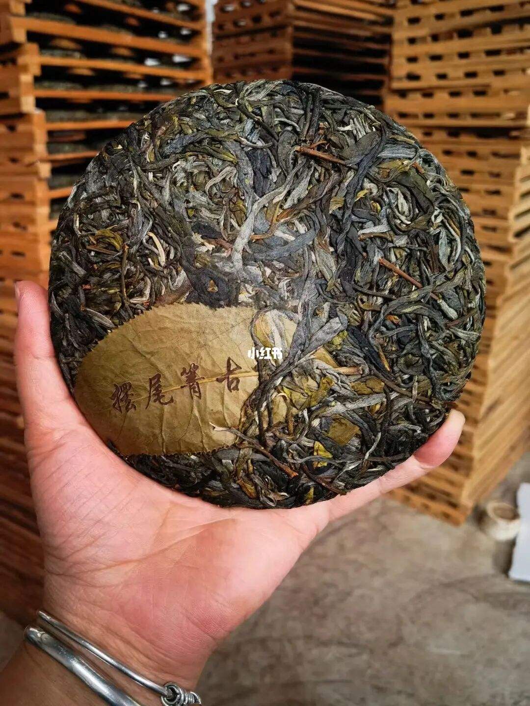 2022年寧洱 擺尾箐古樹春茶價格？