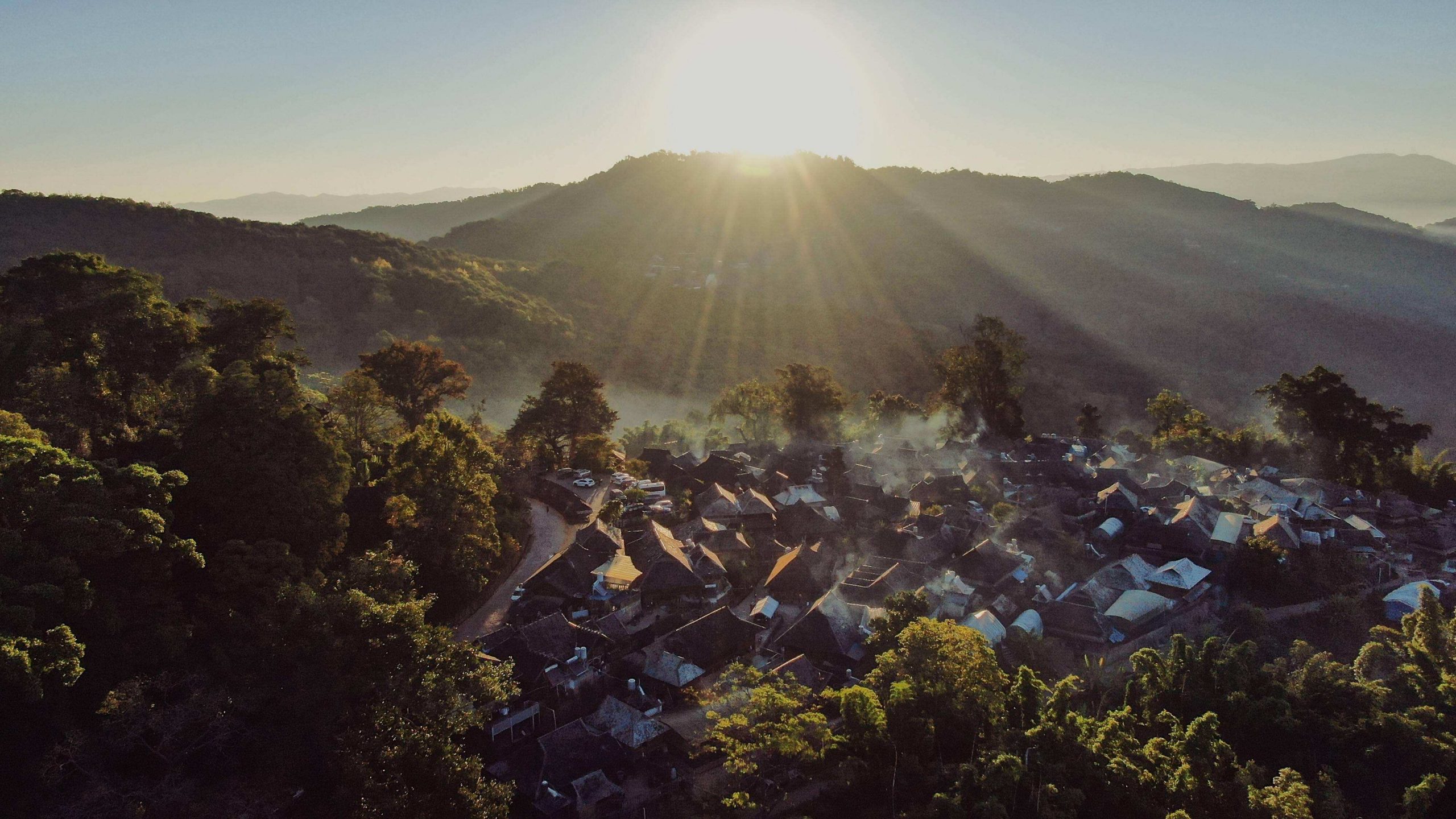 2022年景邁山古樹春茶特點？