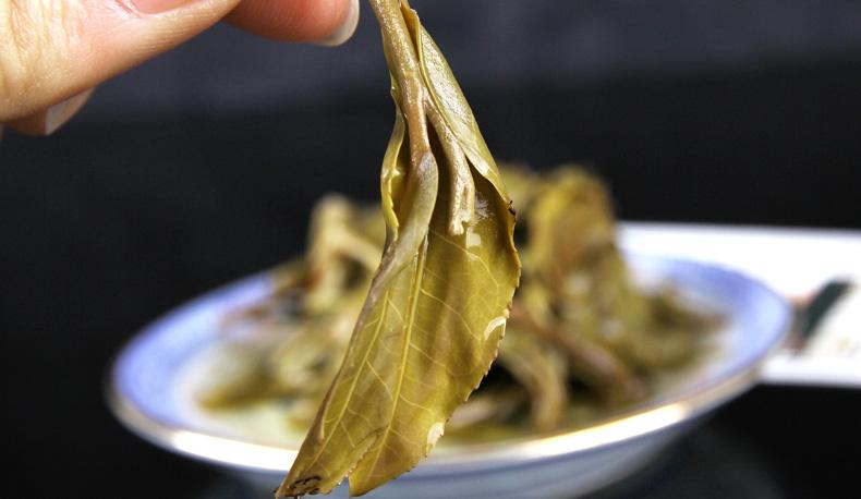 2022年冷水河古樹春茶價(jià)格？