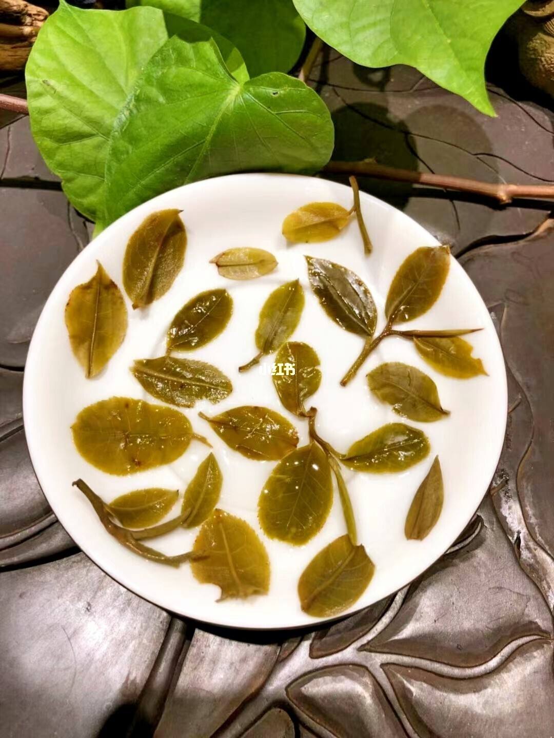 2022年倚邦貓耳朵古樹春茶多少錢一公斤？