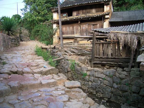 2022年蠻磚古樹春茶特點(diǎn)？